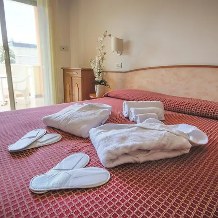Hotel Cervia 3* チェルヴィア